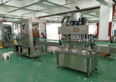 十二頭全自動(dòng)膏液灌裝生產(chǎn)線