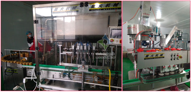 花生醬灌裝生產(chǎn)線,調(diào)味芝麻醬自動灌裝生產(chǎn)線