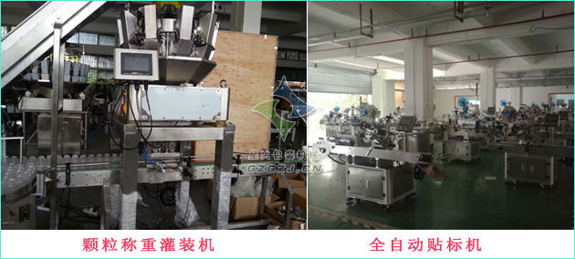 顆粒稱重灌裝旋蓋貼標生產線,開心果灌裝生產線