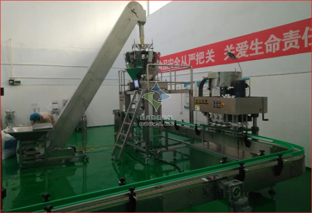 瓶裝顆粒灌裝生產線