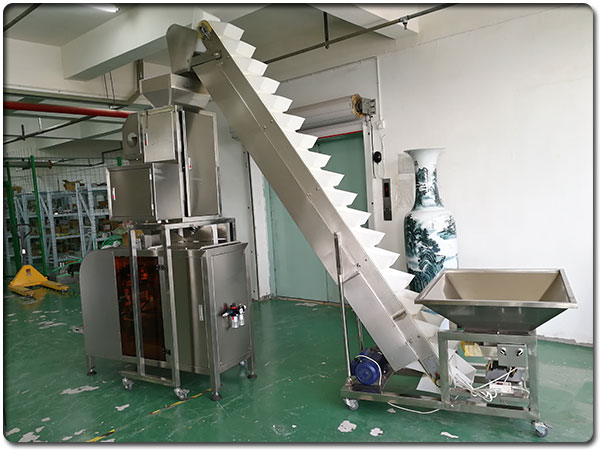 全自動包裝生產線機械制造廠家實拍圖