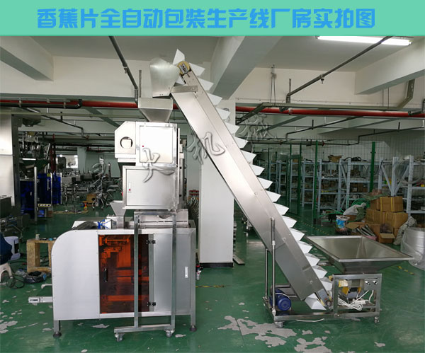 香蕉片包裝生產線-香蕉片全自動包裝生產線廠家c車間實拍圖
